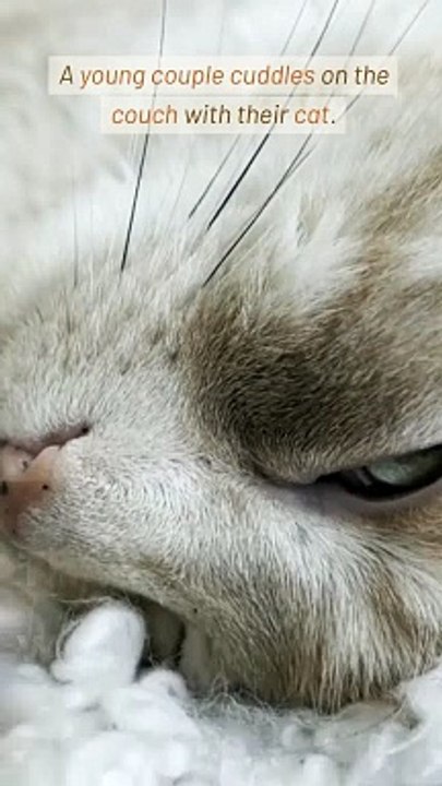 Storm Insurance Protecting Your Property from Nature_s Wrath