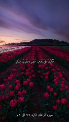 سورة الرحمان بصوت الشيخ ياسر الدوسري الاية ٧٦ الى ٧٨