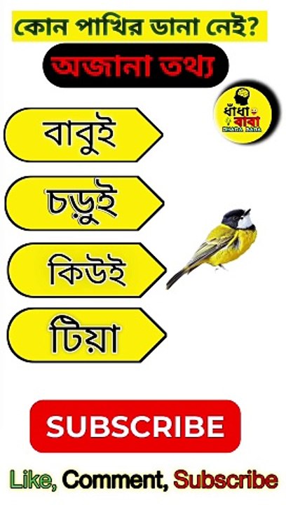 কোন পাখির ডানা নেই? /ধাঁধা প্রশ্ন ও উত্তর / গুগলি প্রশ্ন ও উত্তর/ #education #viral #brain #dhadha