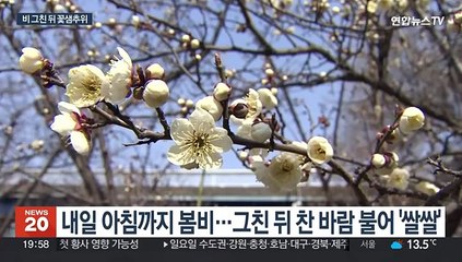 봄비 그친 뒤 강한 찬 바람…월요일 영하권 꽃샘추위