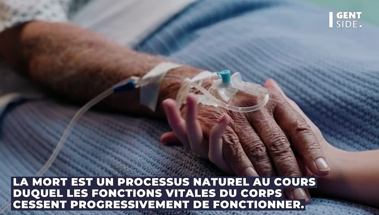 Les étapes de décomposition de notre corps après notre mort - Vidéo ...