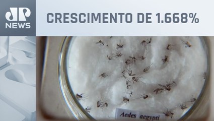 Capital paulista está perto de atingir índice epidêmico de dengue
