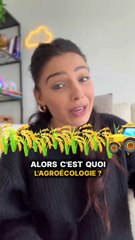 C’est quoi l’agroecologie ?