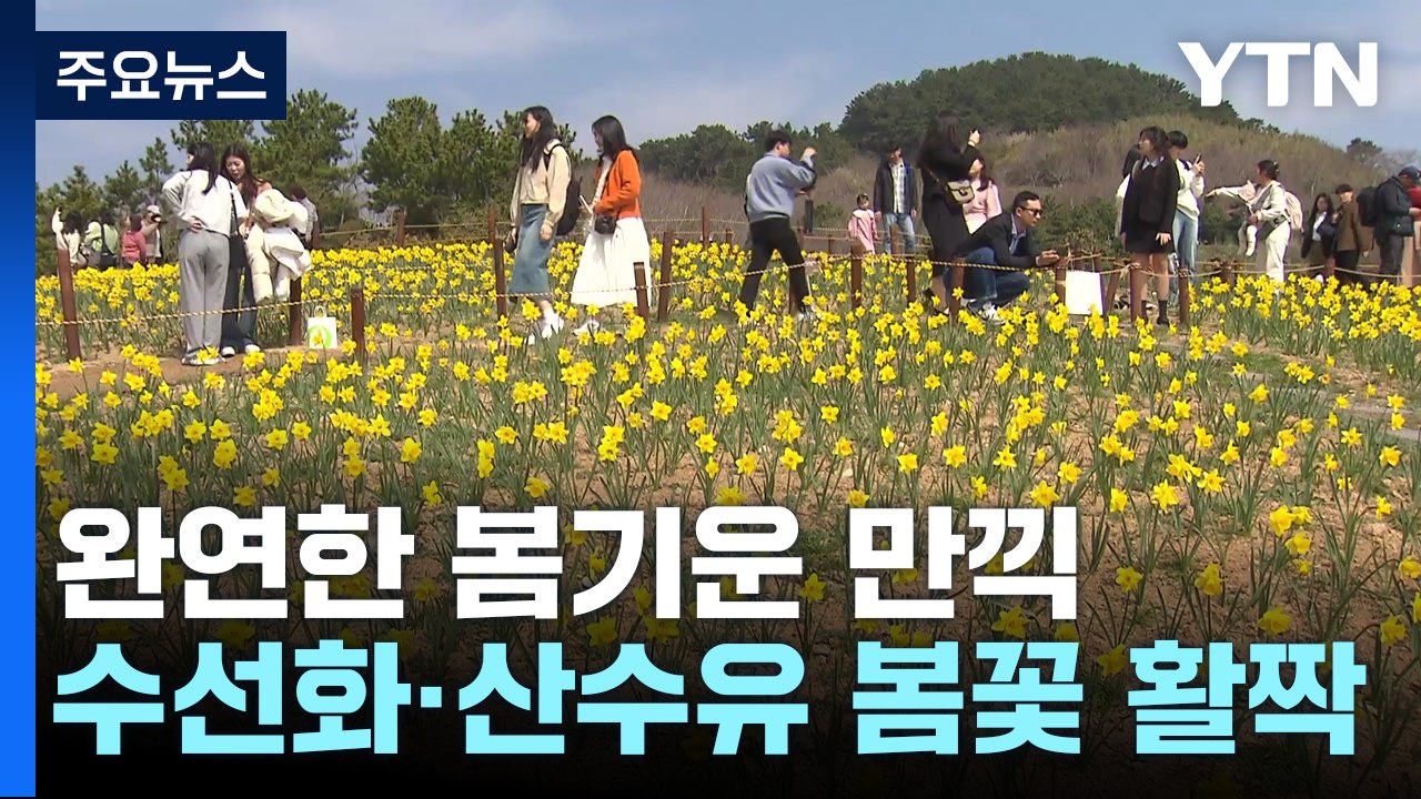 남녘엔 봄꽃 물결...상춘객들, 봄기운 만끽 / YTN