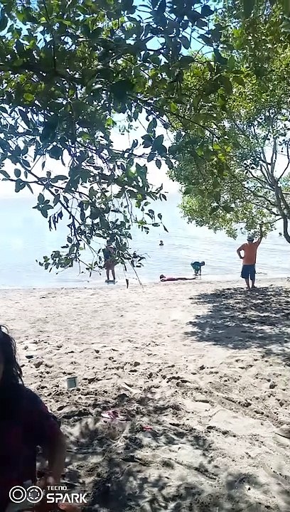 dagat