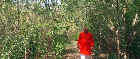 चिता की राख से शहरवासियों को मिल रही सांसेें