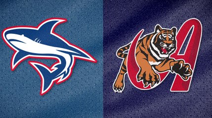 TIBURONES DE LA GUAIRA vs TIGRES DE ARAGUA 19/12/2023