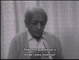 Questionamos o modo como vivemos?