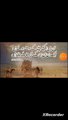 Allama Iqbal PoetryBest Allama Iqbal Shayari In UrduDuniya E Shayari