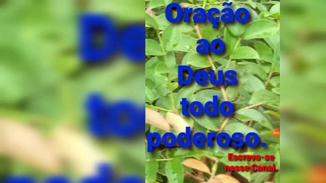 Oração ao Deus todo poderoso. Deus é Fiel.
