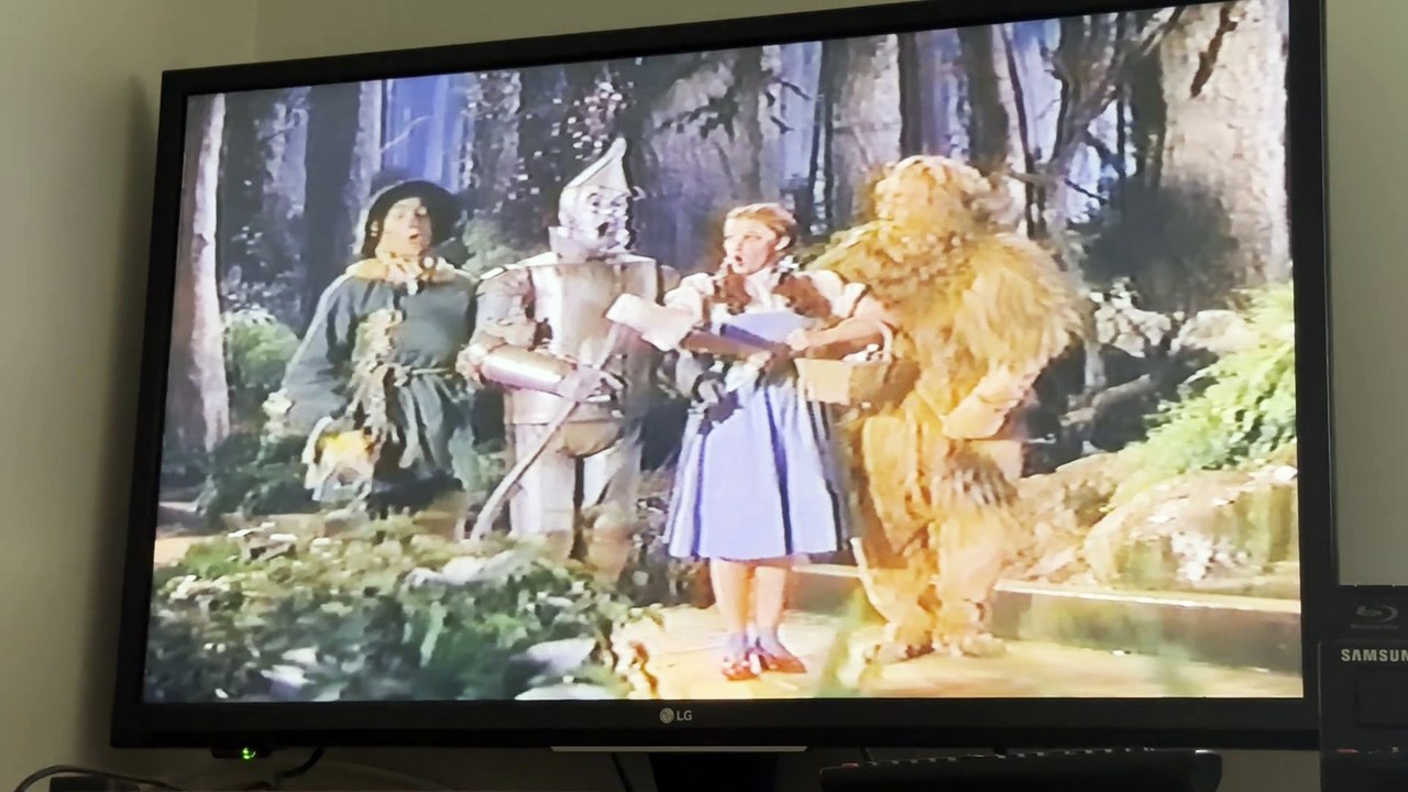 Opening to Willy Wonka and the Chocolate Factory 2001 VHS