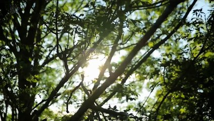 Police Interceptors S17E03 (30 Oct 2019)