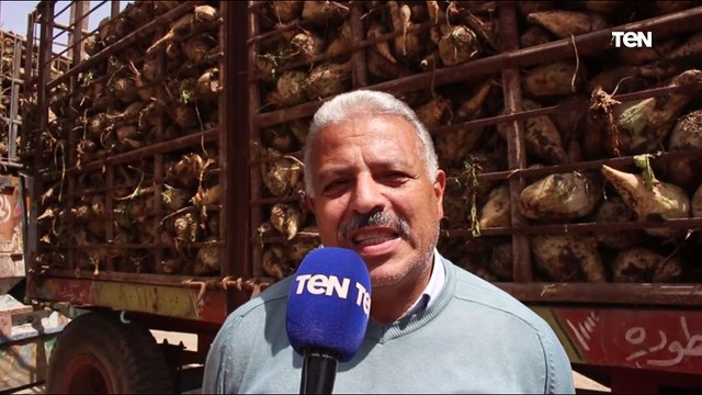 مصنع أبوقرقاص يعود للعمل بمليون و100 ألف طن بنجر
