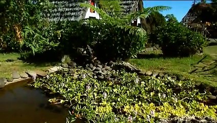 Planeta Encantado - El secreto de Colón