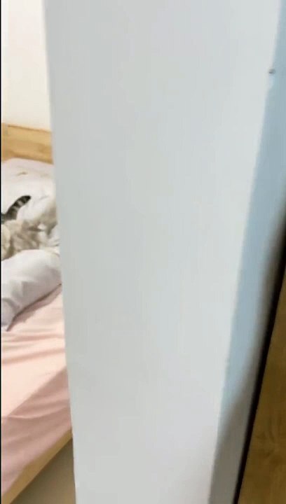 oh its warm, can you give me space?