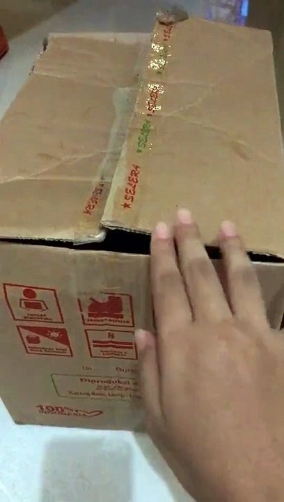 Cat in the box? are you make me shock