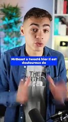 MrBEast contre les gens qui quittent leurs taff...(Exclu Dailymotion)