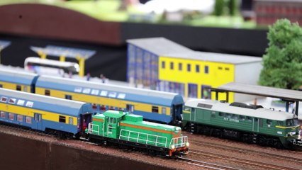 Dziennik Zachodni / Kolej w miniaturze / Marzena Bugała-Astaszow