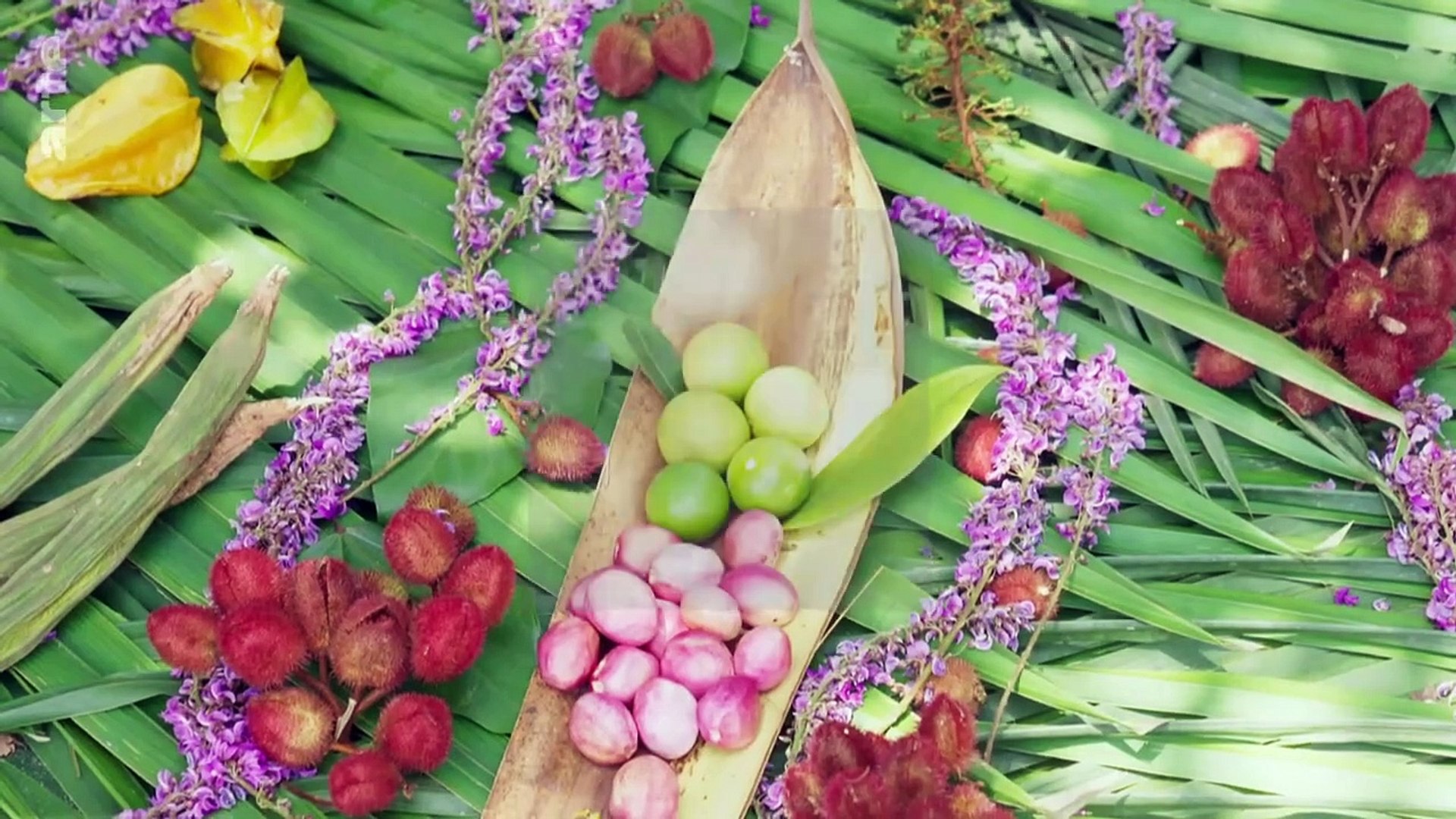 360° Reportaje_ Amazonia_ volver a conectar con la tierra _ ARTE.tv Documentales