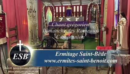 Communion Pater si non potest du Dimanche des Rameaux - Ermitage Saint-Bède - Ciné Art Loisir. JC Guerguy