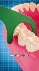 Discover the Surprising Benefits of Flossing Every Day 🦷