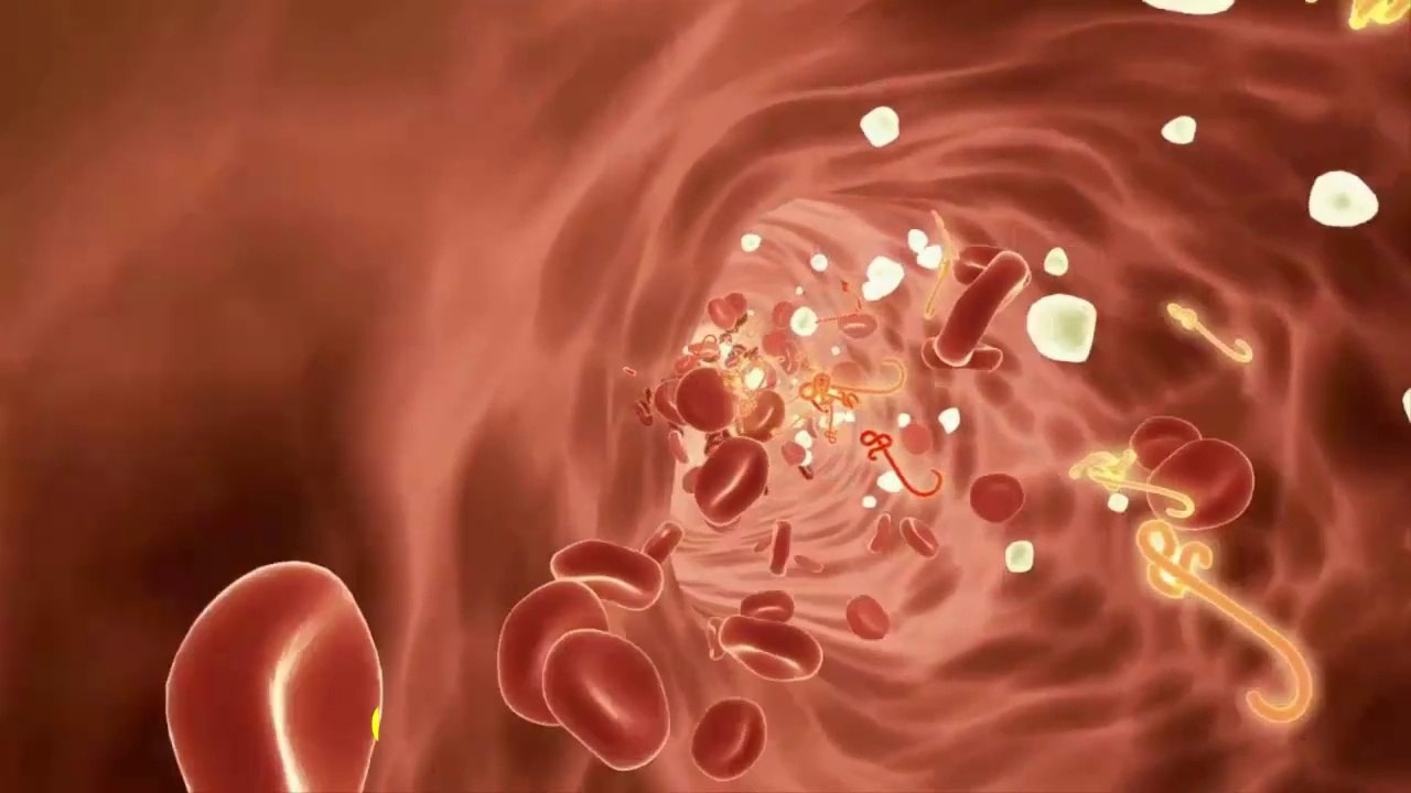 Top 7 Foods that Unclog Arteries Naturally and Prevent Heart Attack