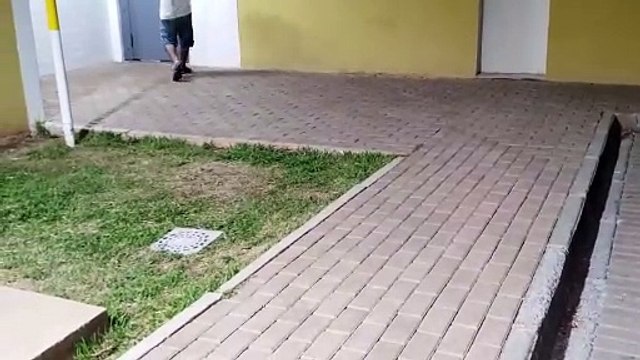 Homem é preso por crime de trânsito após se envolver em acidente em Céu Azul