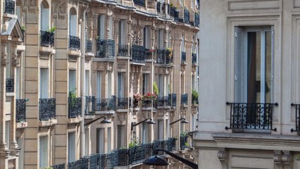 Recherche appartement ou maison vidéo bande annonce