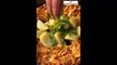 Chicken Tikka (please do Subscribe My Youtube Channel | Channel Name Foodie Girl Sara) #cooking #reCipe