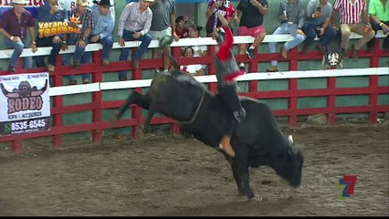 Verano Toreado - Monta - Samurai Negro