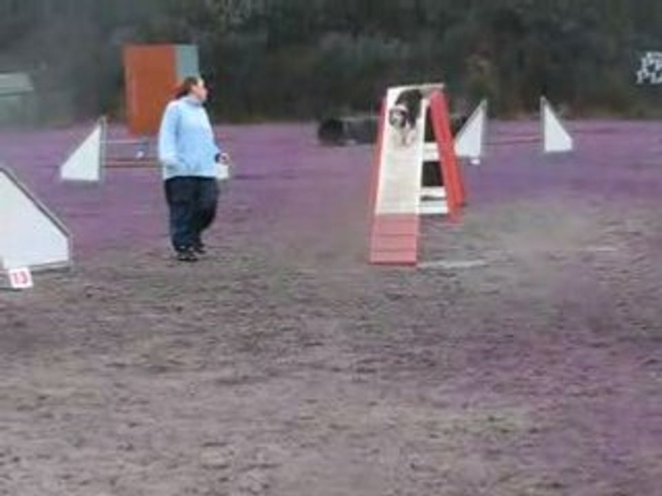 St avold alice tara 2edegres 160308