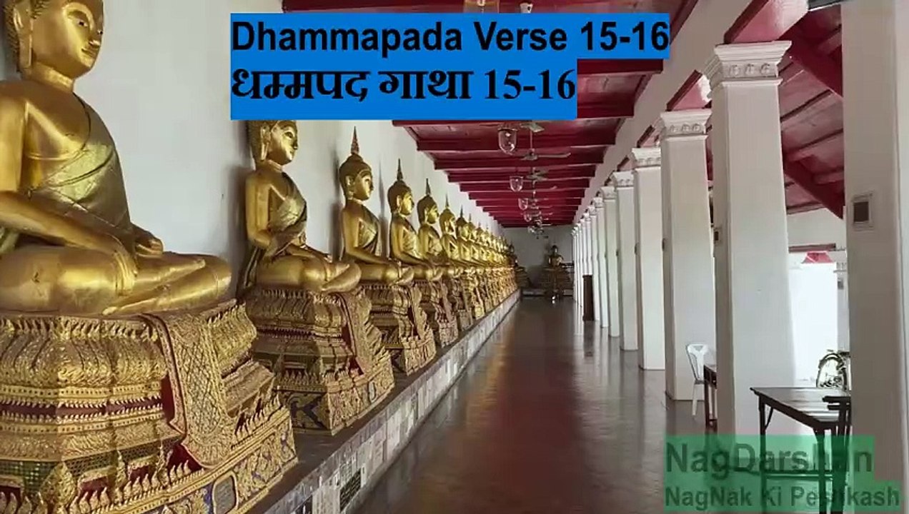 Dhammapada #verse 15-16