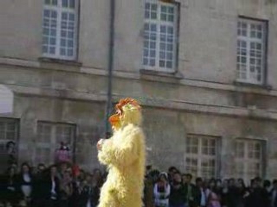 Carnaval 531