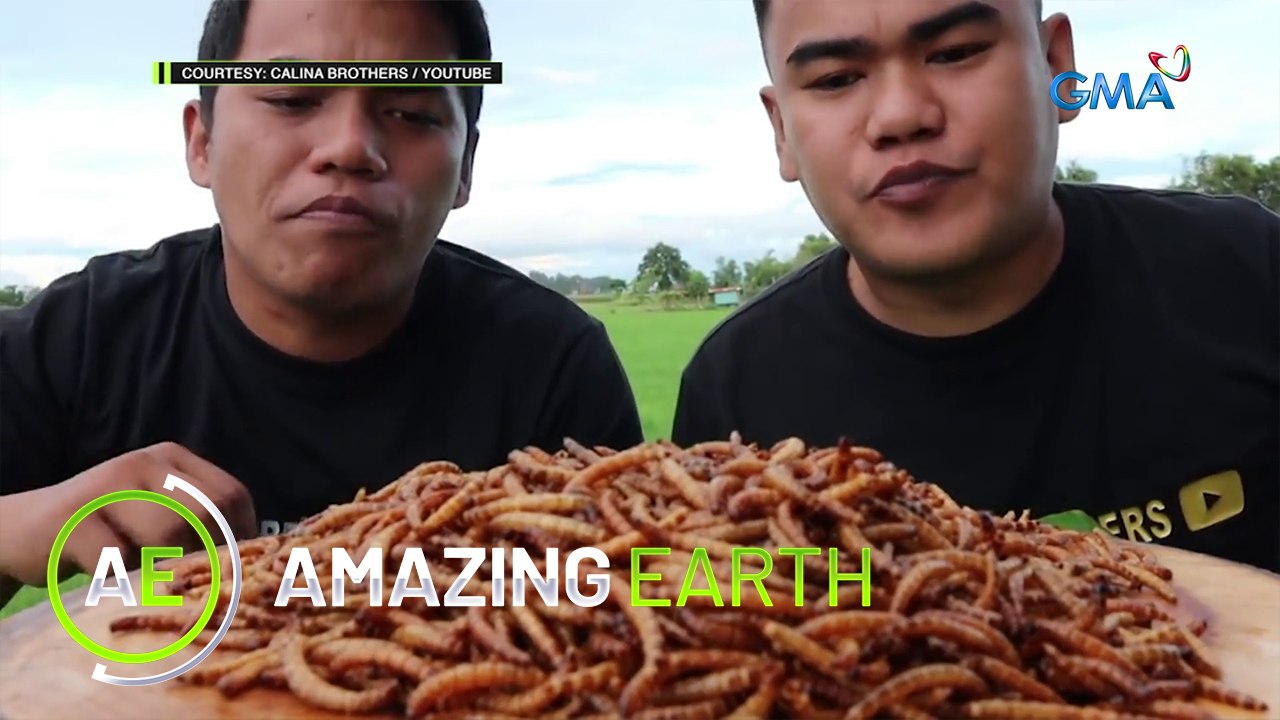Amazing Earth: G ka ba sa EXOTIC FOOD TRIP sa Pampanga?