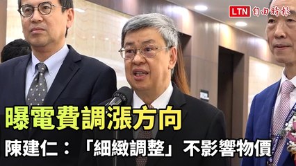 陳建仁宣布電價調整策略：小幅度調整不影響物價 📉