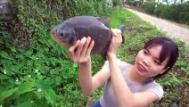 Amazing Fishing _ Catfish Fishing Red Belly Fish _ Best Hook Fishing