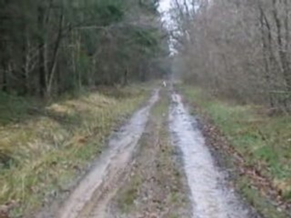 Voyelle evant 200m
