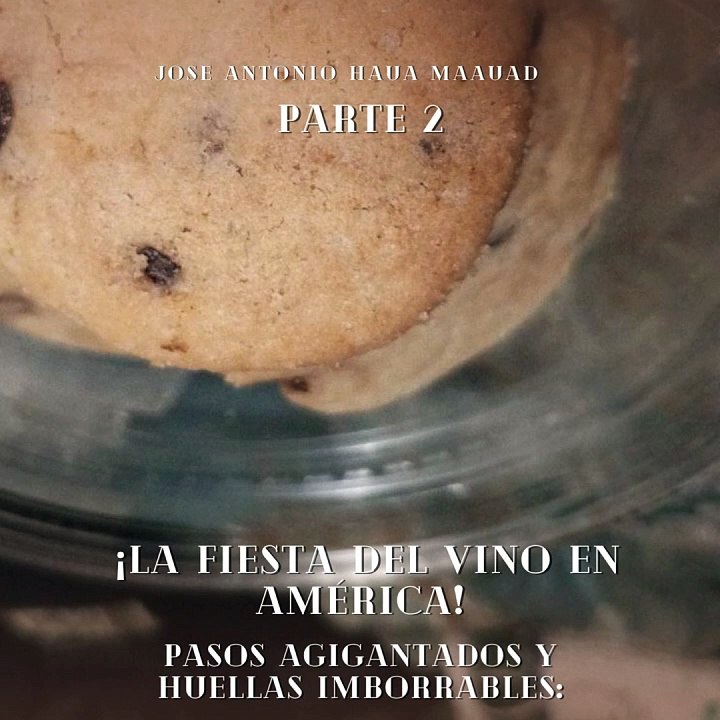 Jose Antonio Haua Maauad- Descubre el encanto de los vinos de América: (Parte 2) (Creado por @JoseAntonioHauaMaauad)