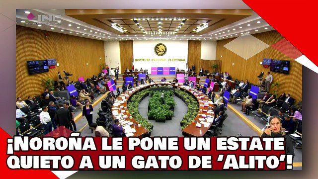 ¡VEAN! ¡Noroña le pone un estate quieto a un gato de ‘Alito’ por provocarlo como le manda su amo!