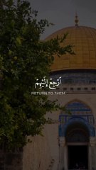 اللهم نستودعك فلسطين وأهلها