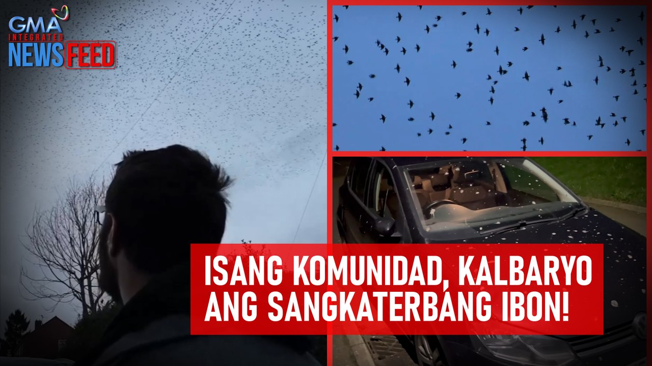 Isang komunidad, kalbaryo ang sangkaterbang ibon! | GMA Integrated Newsfeed
