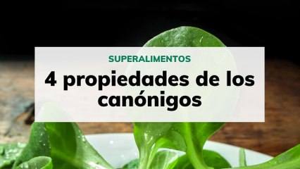 4 propiedades de los canónigos