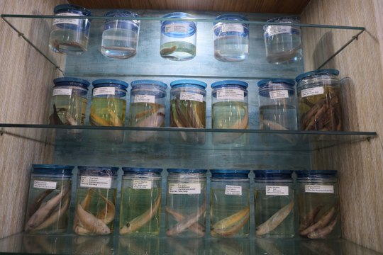 Balık Müzesi yoğun ilgi görüyor!