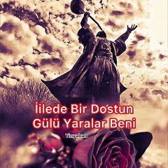 İllede bir dostun gülü yaralar beni