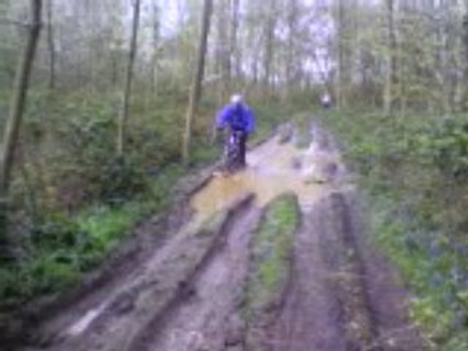 VTT ST JEAN CARDONNAY 06-04-08