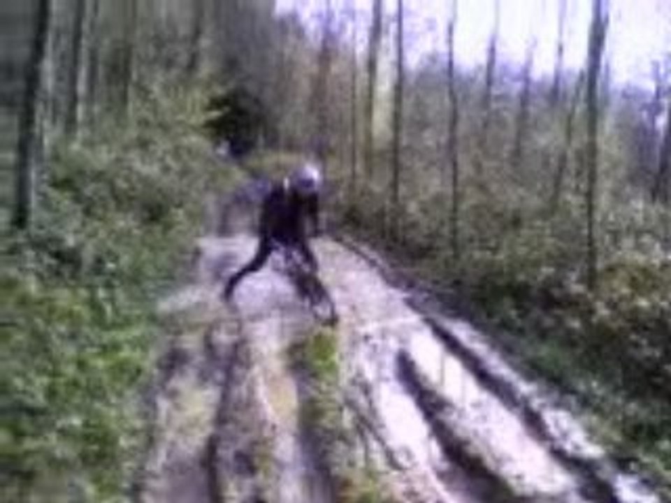 VTT ST JEAN CARDONNAY 06-04-08