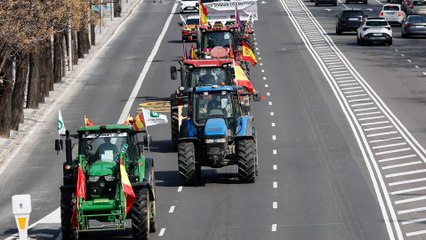 Los tractores vuelven a Madrid para pedir soluciones para el campo