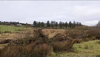 40 Shades of Green Ireland