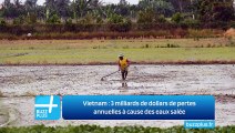 Vietnam : 3 milliards de dollars de pertes annuelles à cause des eaux salée