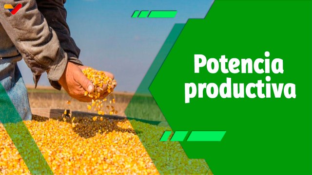 Cultivando Patria | 2do Expo-Congreso Nacional del Maíz ventana productiva para el sector agrícola